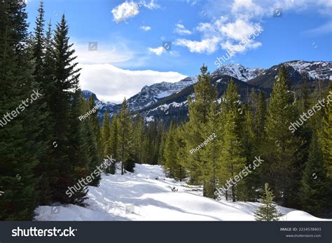 Gallatin National Forest Bozeman Montana Stock Photo 2224578403 ...