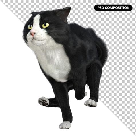 Premium Psd Tuxedo Cat Isolated 3d