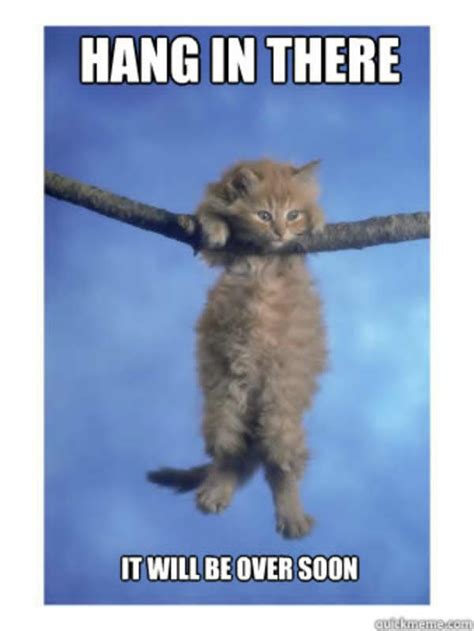 Hang In There Meme To Motivate You Sayingimages