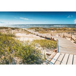 Fotobehang Brug Door De Duinen Strand En Zee Fotobehangkoning Nl