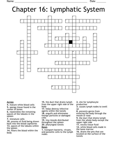 Chapter Lymphatic System Crossword Wordmint