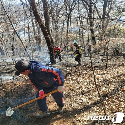 전남 순천서 산불헬기 2대 등 투입해 1시간 만에 주불 잡아 네이트 뉴스