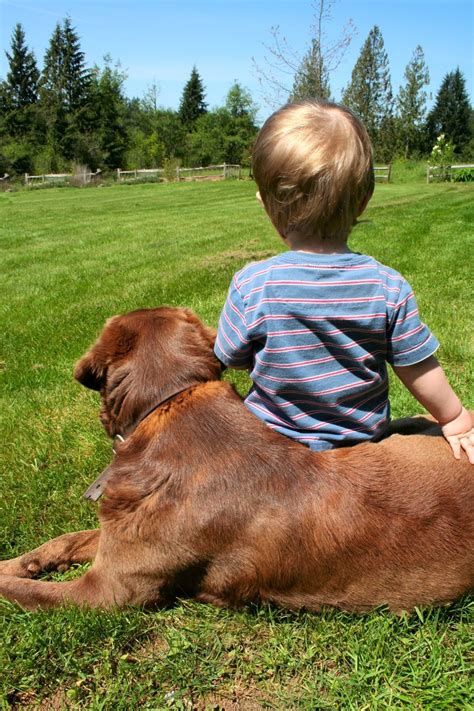 A Boy And His Dog Free Photo Download Freeimages