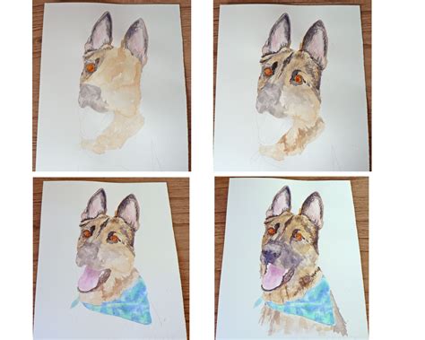 GSD Art Demo In Watercolour How To Paint An Alsatian Art Demo Art