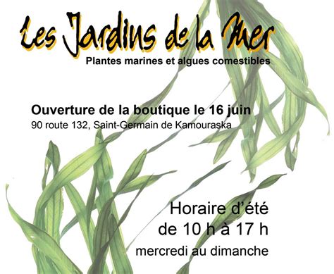 Affiche Les Jardins De La Mer