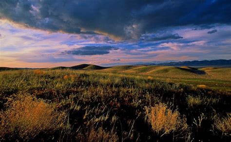 The Carrizo Plain National Monument and its wildlife - Los Angeles Times