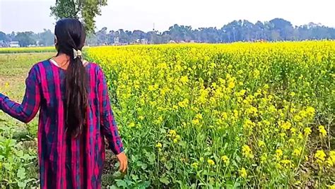 সর্ষে খেতে বৌদি কে চোদা Sarso Ki Khet Me Bhabi Ko Pel Diya Khet Me