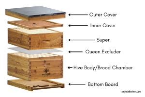 A Guide To Beehive Brood Boxes And Honey Supers Complete Beehives