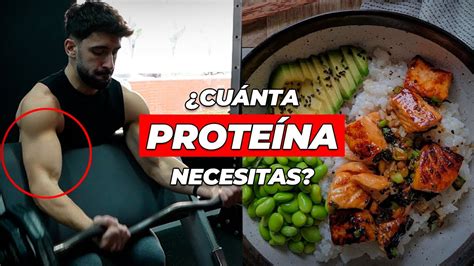 Pierde Grasa Y Gana MÚsculo Tomando La ProteÍna Necesaria Youtube