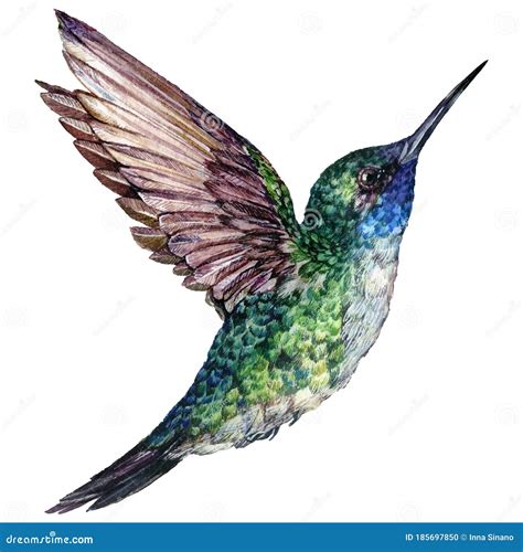 Flying Hummingbird, Tiny Colibri With Bright Turquoise Plumage Vector Illustration On A White ...