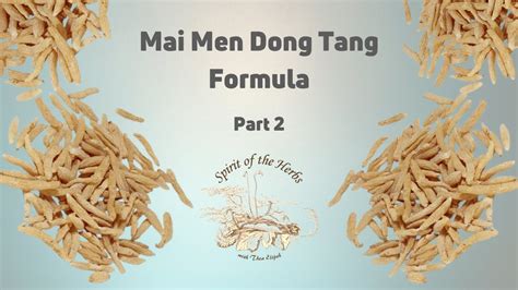 Mai Men Dong Tang Part Chinese Medicine Spirit Of The Herbs