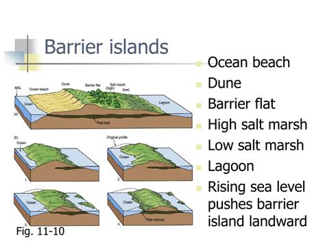 Ppt Chapter 11 The Coast Beaches And Shoreline Processes Powerpoint