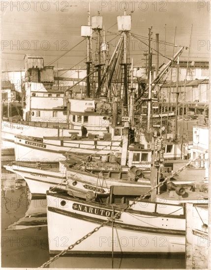 Fleet Of Japanese Owned Fishing Boats Tied Up At Terminal Island