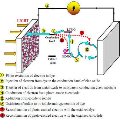 Schematic diagram o f the dye-sensitized solar cell | Download ...