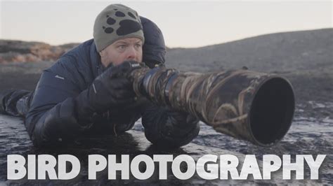 How To Photograph Shorebirds In The Winter Bird Photography At The Coast Youtube