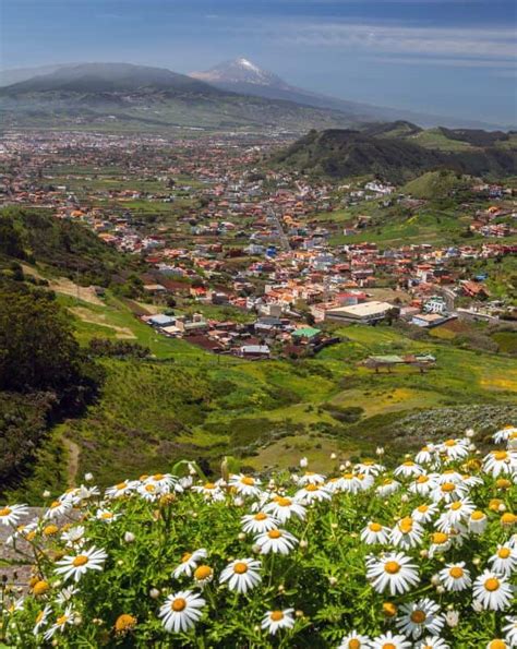 15 Fun Things To Do In South Tenerife The Insight Post