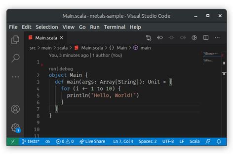 Visual Studio Code Metals