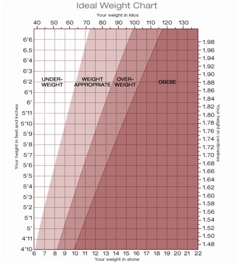 40 Age and Weight Chart | Desalas Template