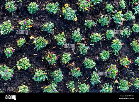 Parterre Aerial Hi Res Stock Photography And Images Alamy