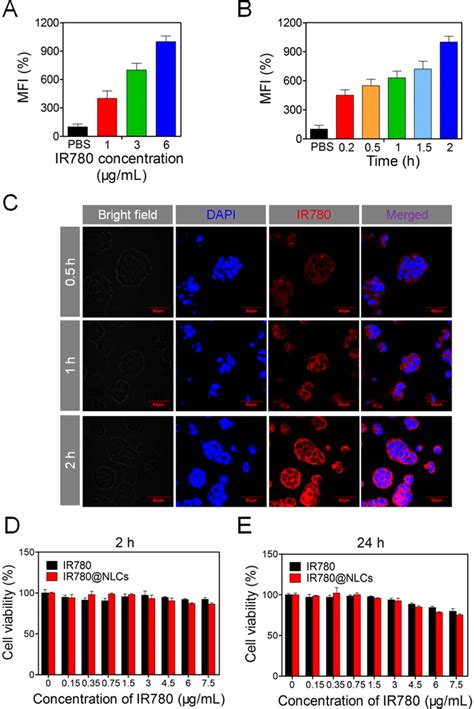 Cellular Uptake And Cytotoxicity Of Ir780nlcs In Caco 2 Cells A Download Scientific Diagram