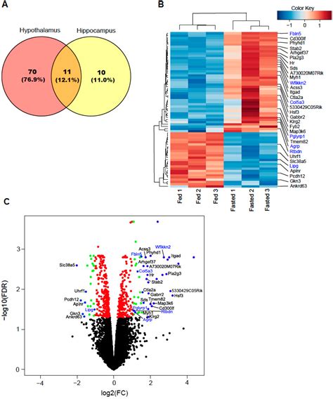 Whole Transcriptome Analysis Of Hypothalamus In Mice During Short Term