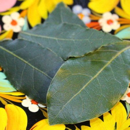 How To Use Bay Leaves In Cooking