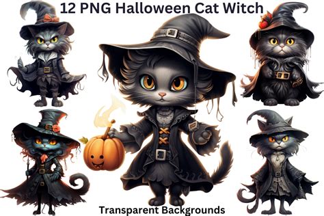 12 Png Halloween Cat Witch Clipart Graphic By Imagination Station