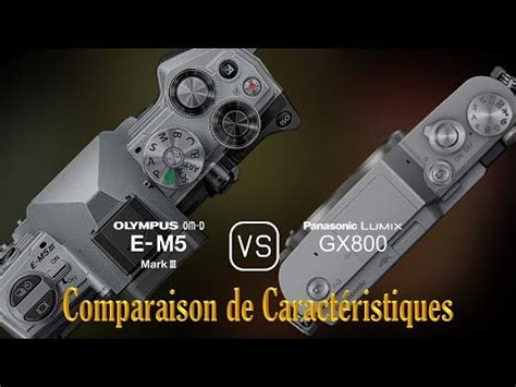 Olympus OM D E M5 Mark III Vs Panasonic Lumix GX800 Une Comparaison