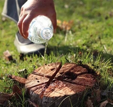 A Person Pouring Water Into A Glass On Top Of A Piece Of Wood In The Grass