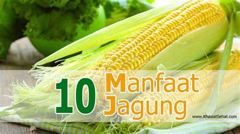 Manfaat Jagung Untuk Kesehatan Efek Sampingnya Khasiat Sehat