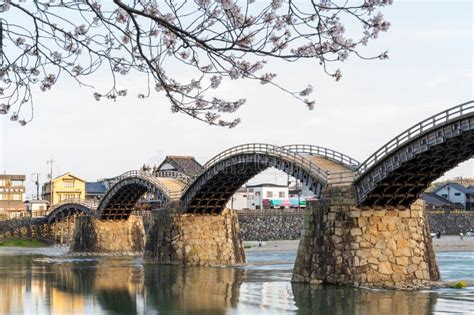 Kintai Bridge Cherry Blossoms Along The Nishiki River Iwakuni