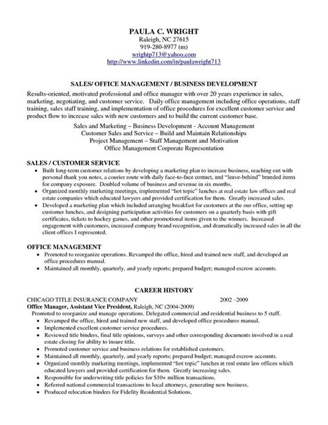 Professional Profile Resume Examples Resume Professional Profile Examples Resumes Letters Etc