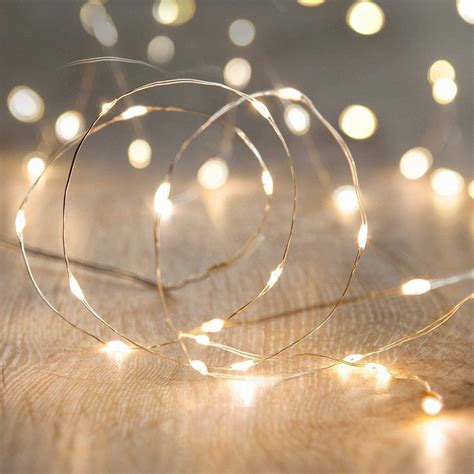 Anjaylia Led Fairy String Lights Ft M Leds Firefly String Lights