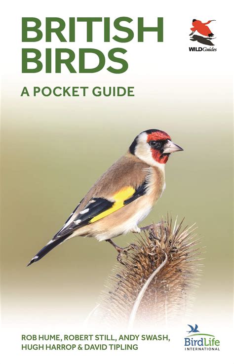 Pocket Size Book Of British Birds Collins Bto Guide To British Birds