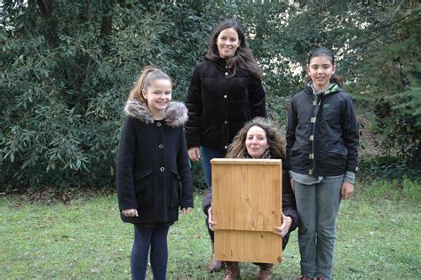 Le Pouliguen Un Premier Nichoir Pour Chauve Souris