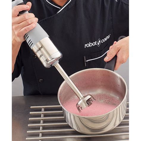 Robot Coupe Micromix Hand Blender