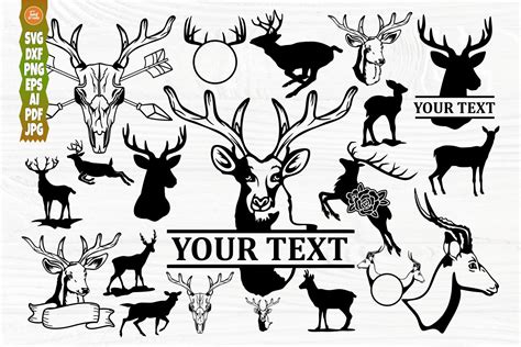 Deer Bundle Svg Deer Svg Cut Files Wildlife Deer Skull Svg Deer