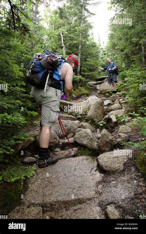 Appalachian Trail...White Mountains New Hampshire USA Stock Photo - Alamy