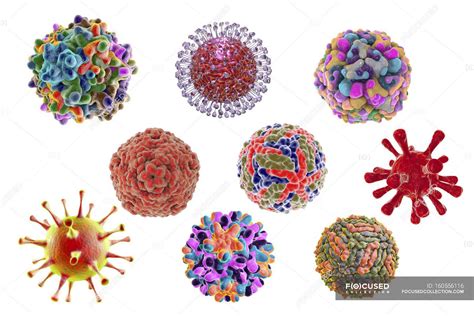 Human pathogenic viruses — shapes, Adenovirus - Stock Photo | #160556116