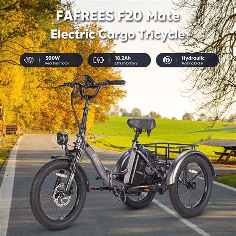 Fafrees F Mate Electric Tricycle Blue Europe