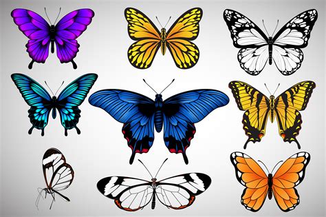 Set of Butterflies Vector Graphic by Ghagra · Creative Fabrica