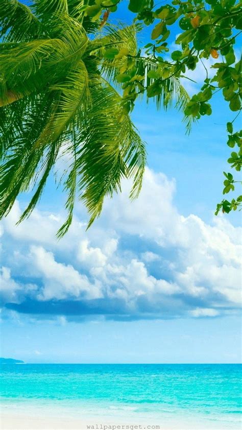 Beach iPhone Wallpapers - Top Free Beach iPhone Backgrounds ...