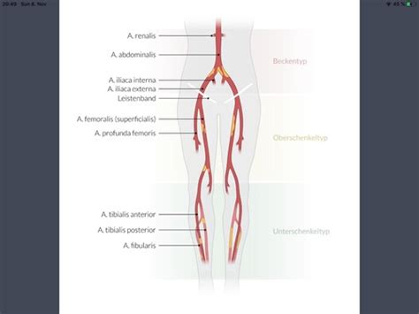 PAD PE Cor Pulmonale Pulmonary Hypertension Flashcards Quizlet