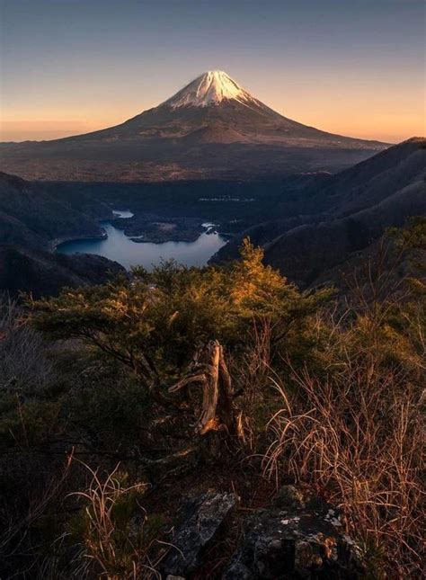 日本新天皇繼位：赦免幾十萬違法者，去日本旅遊還有安全感嗎？ 每日頭條