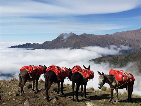 Cabalgata Y Trekking Por La Cordillera De Los Andes Una Experiencia