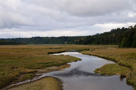 Gambar Pantai Laut Rawa Sungai Teluk Waduk Jalan Air Badan Air