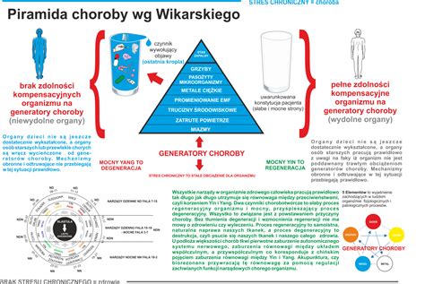 Kontakt Alergikus BioKlinik Alergiom mówimy STOP