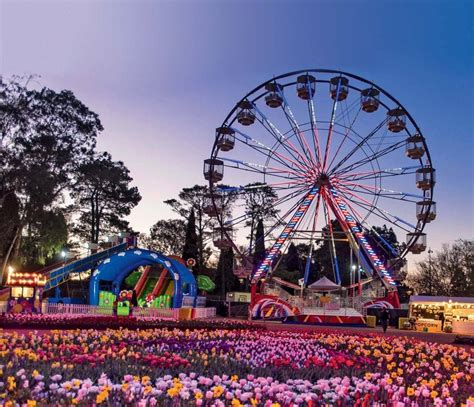 6 Of The Best Things To Do In Canberra