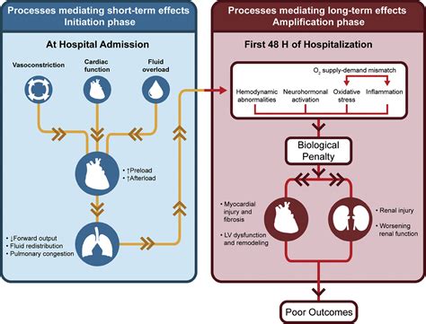 Advances In The Management Of Acute Decompensated Heart Failure