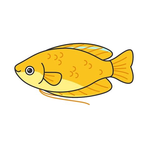 Premium Vector Golden Honey Gourami Fish Illustration